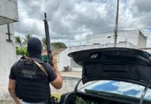Homem é preso com cerca de 50 pés de maconha no povoado Cruz das Almas, em Macambira