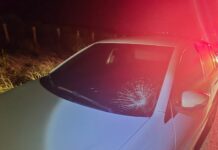 Pedestre é atropelado na Rodovia SE-270, em Simão Dias