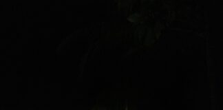 Motocicleta roubada em São Domingos é recuperada pela PM no povoado Brasília, em Lagarto