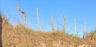 Micro-ônibus e carro de autoescola colidem na SE-270, entre Lagarto e Simão Dias; vídeo