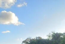 Homem é preso por embriaguez ao volante após acidente em Itaporanga D’Ajuda