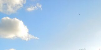 Homem é preso por embriaguez ao volante após acidente em Itaporanga D’Ajuda