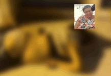 Mulher morre atropelada por carro em São Domingos