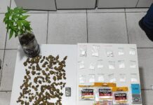 Denarc da Delegacia Regional de Lagarto prende suspeito em flagrante por tráfico de drogas e adulteração de veículo