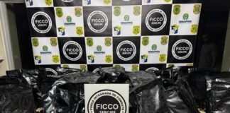 Polícia apreende 36 kg de maconha do tipo ‘flor’ em São Cristóvão
