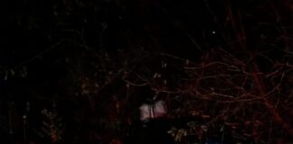 Condutor fica ferido em colisão na rodovia SE-285, em Riachão do Dantas