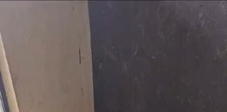 Tutor é preso por maus-tratos a cães em residencial de Aracaju