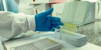 Saúde de Sergipe monitora gripe K após casos confirmados no Brasil