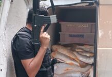 Polícia Civil recupera veículo e carga de mariscos roubados em Santa Luzia do Itanhy