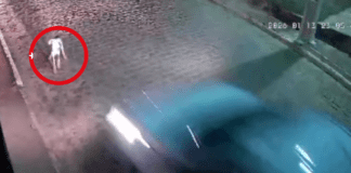 Homem se entrega espontaneamente à Polícia Civil após atropelar e matar cachorro no povoado Barro Vermelho, em Lagarto