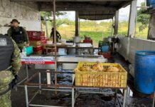 Abatedouro irregular de aves é interditado em Itaporanga d’Ajuda