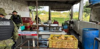 Abatedouro irregular de aves é interditado em Itaporanga d’Ajuda