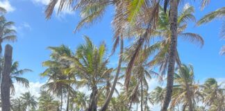 Jovem lagartense vítima de acidente de trânsito morre no hospital