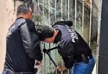 Polícia Civil resgata cadela e cinco filhotes em situação de maus-tratos no bairro Olaria, em Aracaju