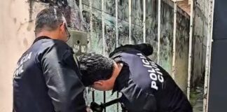 Polícia Civil resgata cadela e cinco filhotes em situação de maus-tratos no bairro Olaria, em Aracaju