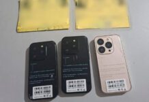 Casal de idosos é preso ao tentar entrar com celulares no Copemcan