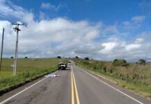 Motociclista de 22 anos morre após colidir com animal na SE-160, em Boquim