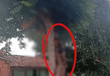 Idoso de 62 anos morre após sofrer descarga elétrica em povoado de Simão Dias