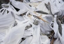 Seminc realizará cadastro de famílias atípicas para o “Páscoa do Bem” nesta quinta-feira, 19