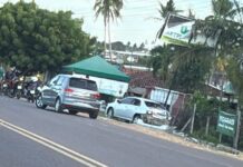 Veículo perde controle e atinge loja de plantas às margens da SE-270, em Lagarto