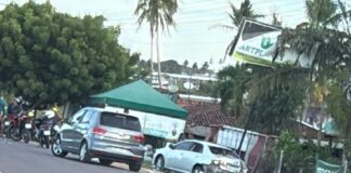 Veículo perde controle e atinge loja de plantas às margens da SE-270, em Lagarto