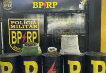 Polícia intercepta veículo e apreende 16,5 kg de entorpecentes em Sergipe