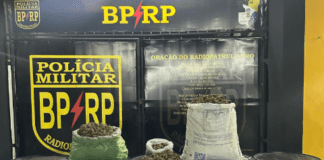 Polícia intercepta veículo e apreende 16,5 kg de entorpecentes em Sergipe