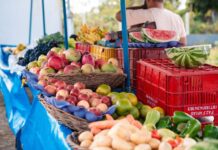 Feira livre de Lagarto funciona normalmente na próxima segunda-feira, feriado de 20 de abril
