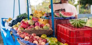 Feira livre de Lagarto funciona normalmente na próxima segunda-feira, feriado de 20 de abril
