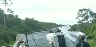 Carreta carregada de cerveja tomba na BR-101 em Cristinápolis e populares saqueiam a carga