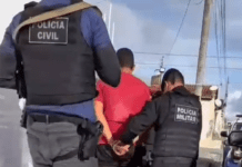 Polícia apreende plantação de maconha e prende suspeito por tráfico em Riachão do Dantas