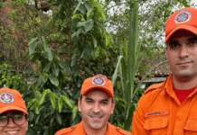 Tamanduá é resgatado pelo Corpo de Bombeiros no povoado Colônia Treze, em Lagarto