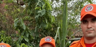 Tamanduá é resgatado pelo Corpo de Bombeiros no povoado Colônia Treze, em Lagarto