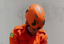 Filhote de jacaré-do-papo-amarelo é resgatado no Hospital Universitário de Lagarto