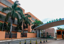 Anvisa manda recolher lote de dipirona com desvio de qualidade