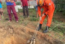 Cavalo é resgatado após cair em buraco no povoado Batinga, em Ribeirópolis