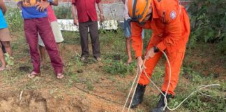 Cavalo é resgatado após cair em buraco no povoado Batinga, em Ribeirópolis