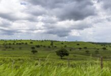 Chuvas intensas continuam e mantêm Sergipe em estado de alerta