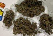 Polícia Militar prende dois homens por suspeita de tráfico de drogas em Boquim