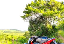 Motocicleta roubada com placa de São Domingos é recuperada pela Guarda Municipal de Lagarto