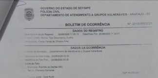 Celular furtado durante o Festival de Inverno de Palmares é recuperado pela Polícia Civil