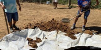 Ossada humana é encontrada em propriedade rural de Frei Paulo; filhos da vítima confessam o crime