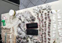 Polícia Civil apreende cerca de 20 quilos de drogas e prende suspeito em Poço Verde