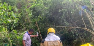 Caminhoneiro fica ferido após caminhão cair de ponte entre Pinhão e Simão Dias