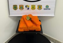 Motorista tenta fugir da polícia, colide contra um poste e é preso com 10 kg de maconha na BR-101, em São Cristóvão