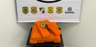 Motorista tenta fugir da polícia, colide contra um poste e é preso com 10 kg de maconha na BR-101, em São Cristóvão