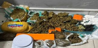 Polícia Militar prende mulher por tráfico de drogas em Lagarto