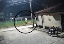 Homem é suspeito de furtar botijão de gás e ameaçar testemunha em Salgado