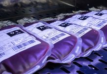 Sabadão Solidário: Hemose realiza campanha de doação de sangue neste sábado