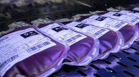 Sabadão Solidário: Hemose realiza campanha de doação de sangue neste sábado